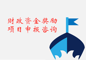 项目申报咨询