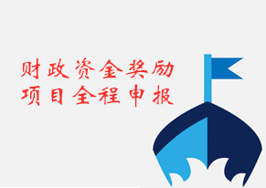 项目全程申报